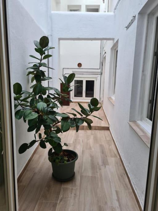 Apartamento Centrico Pontevedra Apartment Bagian luar foto